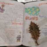 ...foglie e rose appassite